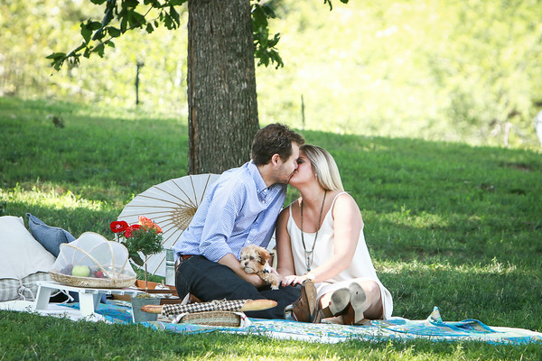 marriage proposal picnic