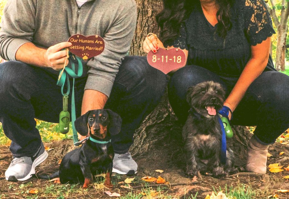 Including your dog in your proposal