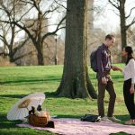 Central Park Picnic proposal idea