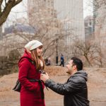 new york central park proposal story