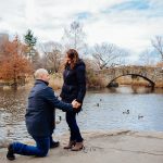 new york gapstow bridge proposal